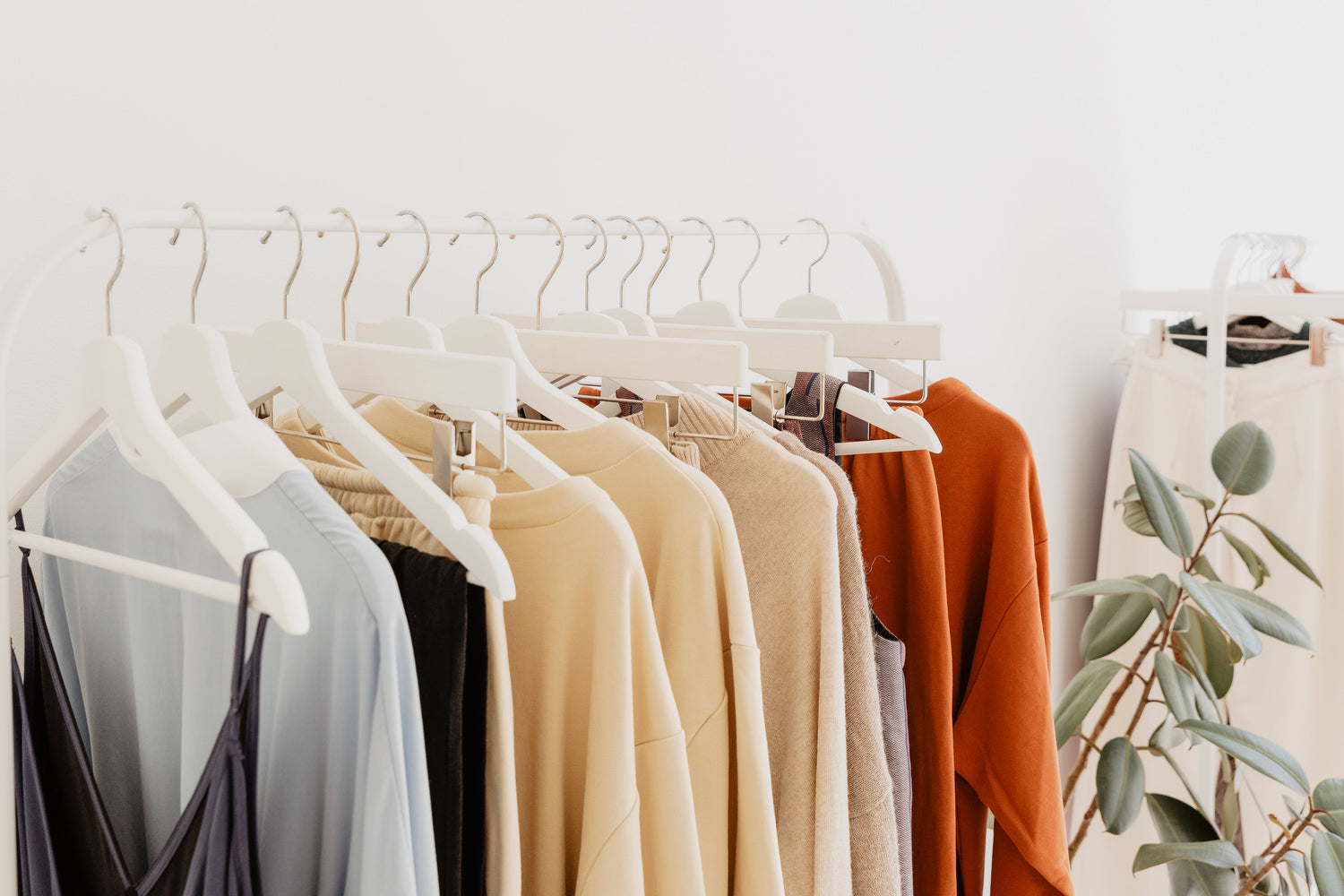 Clothing & Fashion Accessories